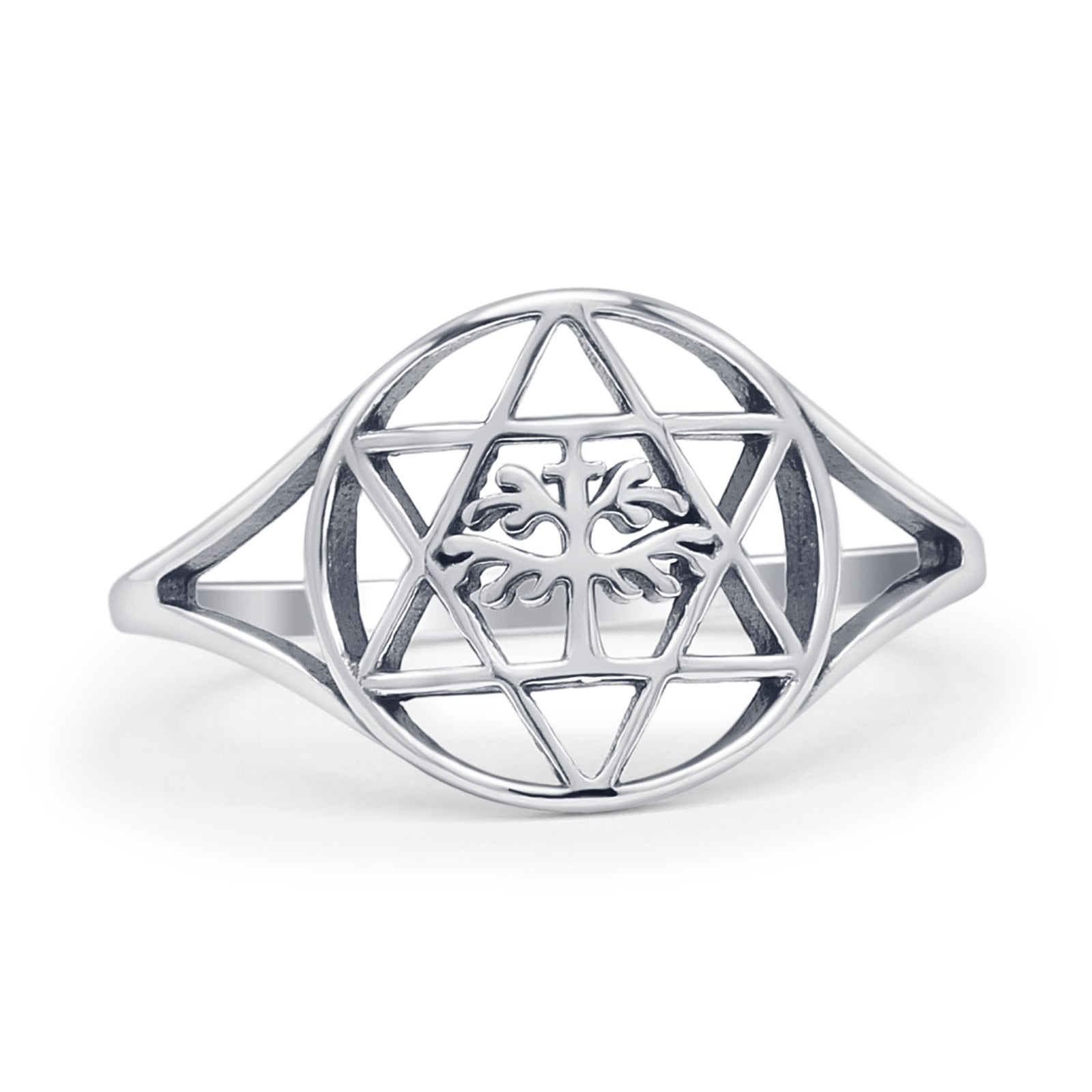 Star Od David & Tree Ring