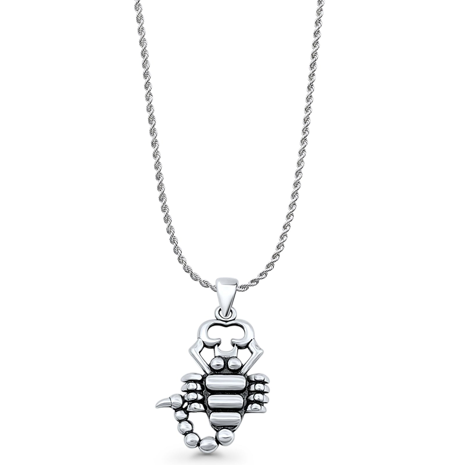 Scorpion Charm Pendant Necklace