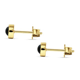 Stud Earrings 