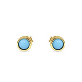 Stud Earrings 