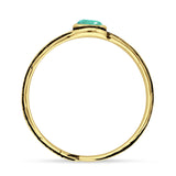Round Turquoise Feather Ring
