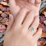 Turtle Ring