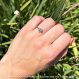 Oxidized Mushroom Rings