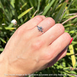Oxidized Octopus Rings