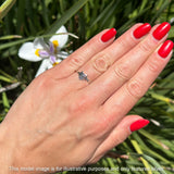 Spider Web Ring
