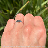 Spider Web Ring